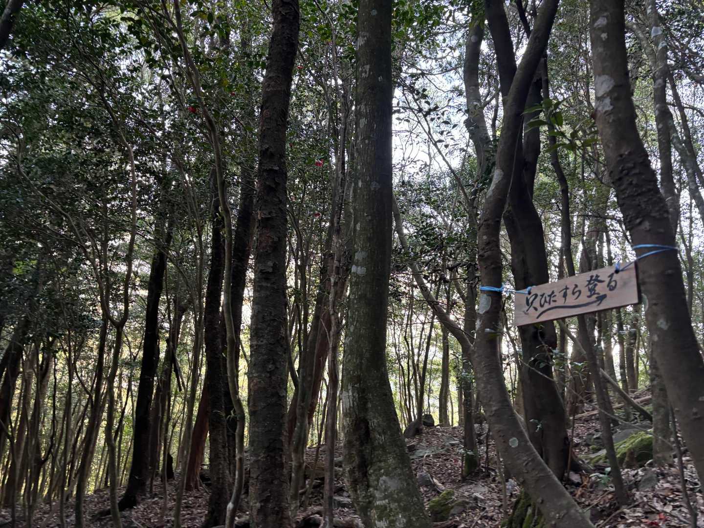 ひたすら登る　の看板　😭
