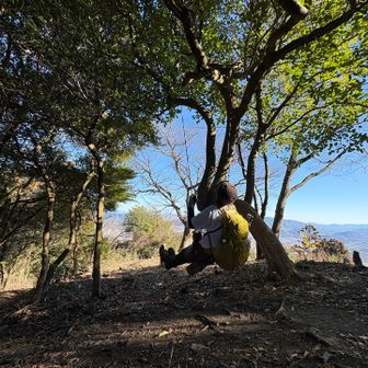 七宝山のブランコ🎶わーい🙌🏻
あ☝️七宝山直登の案内を鵜呑みにして登るのはNG🙅‍♀️結局巻道と合流したのち山頂へ…ﾃﾞｽ
（直登はしんどいだけだった💧）