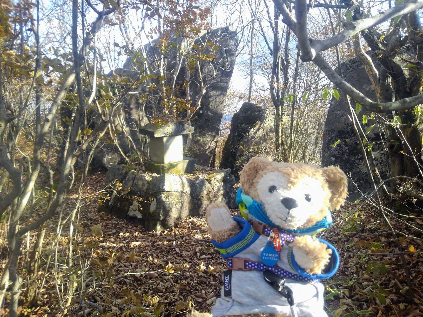駒髪山!! 🐻