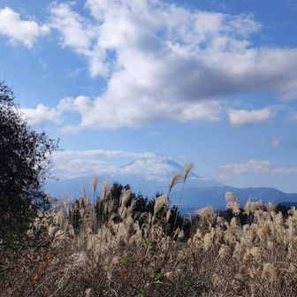 松田山から降りてくる時に富士山が大分綺麗に見える様になってました。