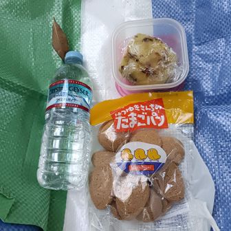 昨日、剪定した木枝や固い庭の草木などをたくさん燃やしたので、焼き芋をたくさん作りました。
それを持ってきました。
うまいです。
（自家製の焼却炉で燃やしています。野焼きではありません。安全によく燃えますよ。）