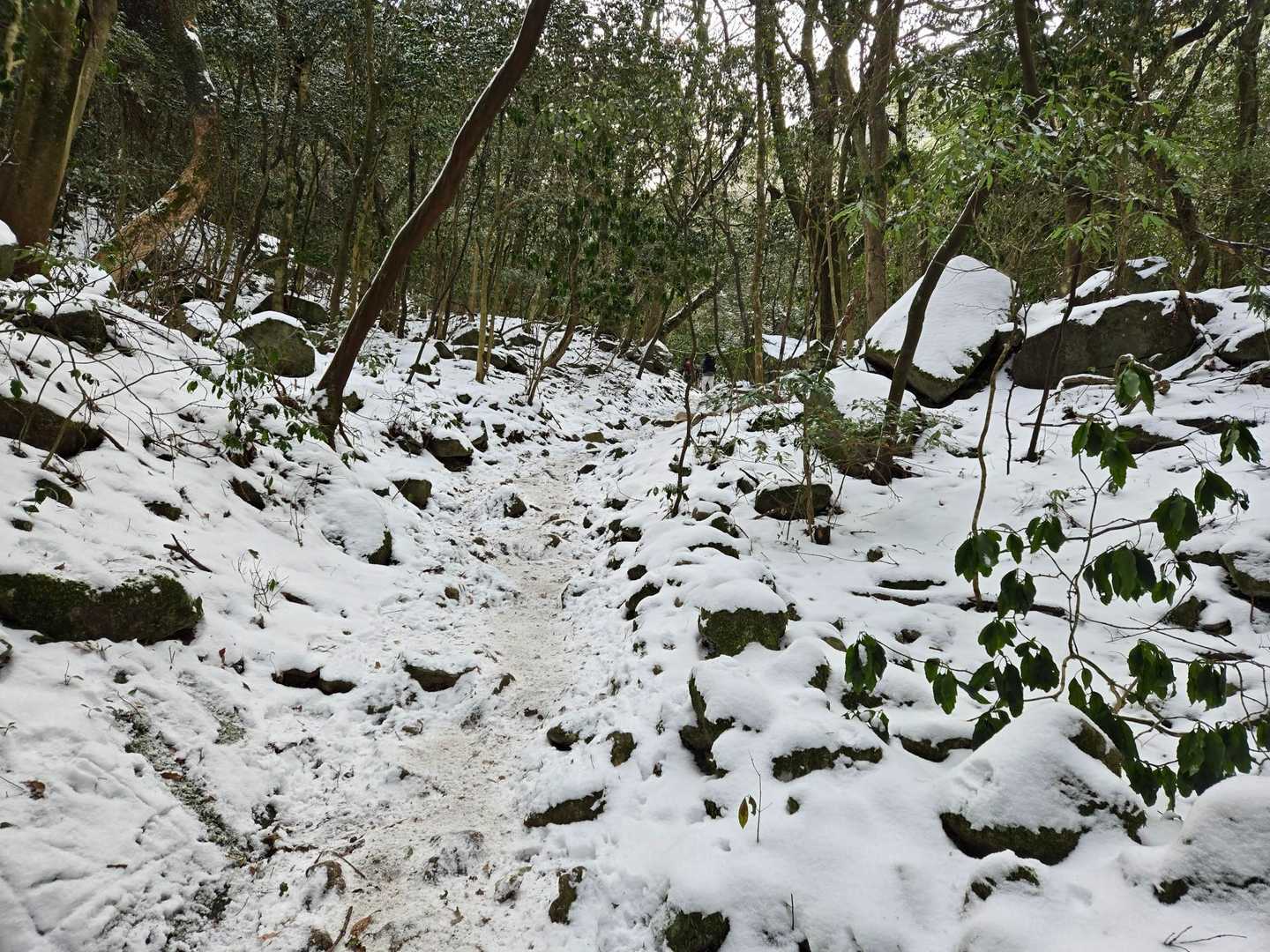 河原谷コース-河原谷の大つらら 往復コースの写真