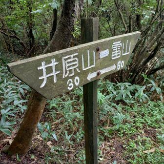 縦走路にでる