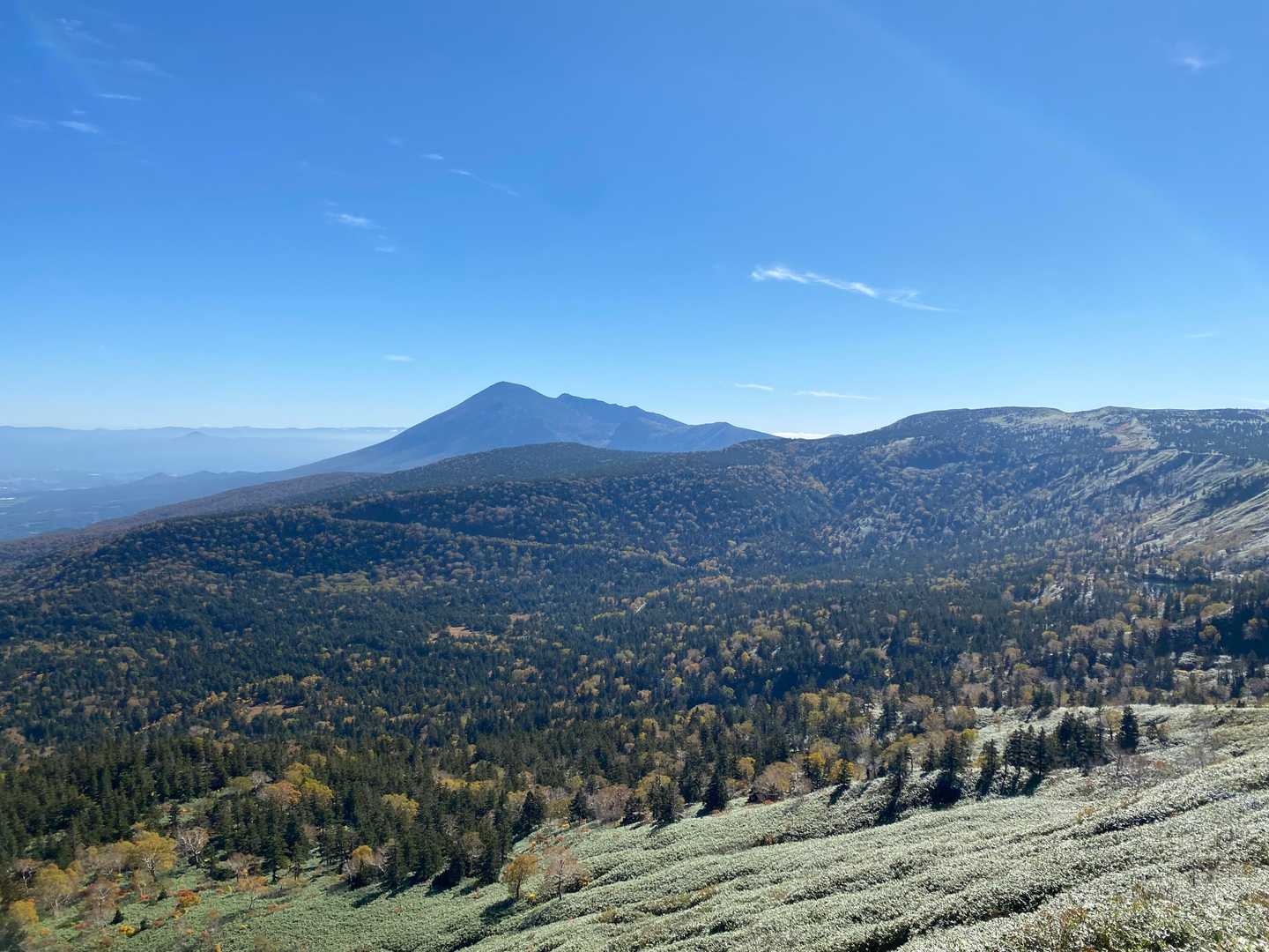 裏岩手連峰登山口-畚岳-諸檜岳-前諸桧-嶮岨森 往復コースの写真