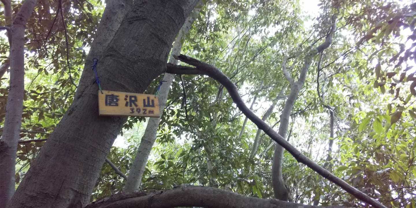 唐沢山の写真