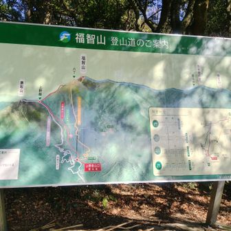 降りてきました