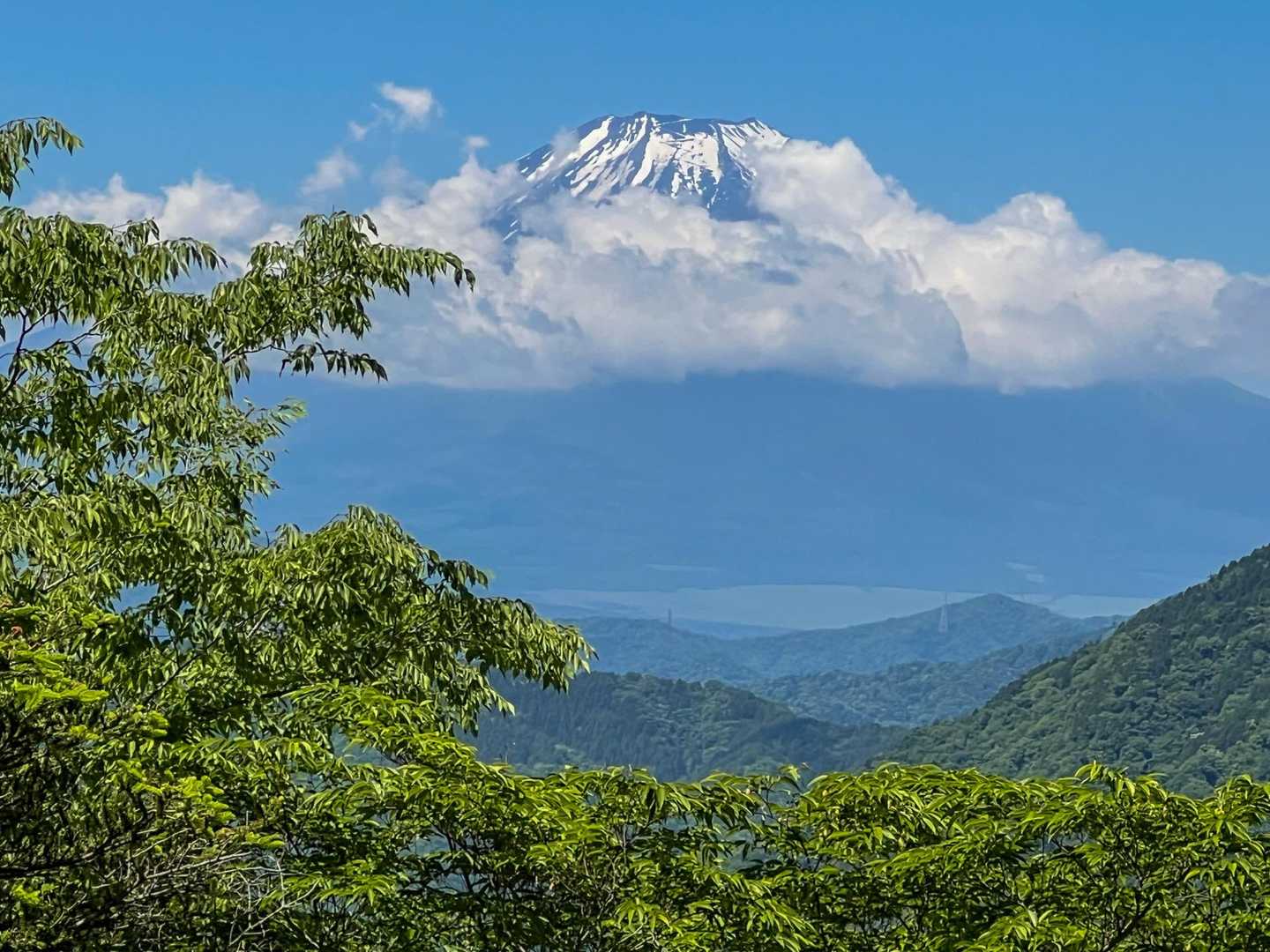 展望園地からの富士山