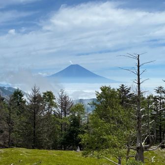 富士山見れた🗻