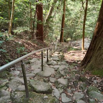 階段を更に下りていくと…