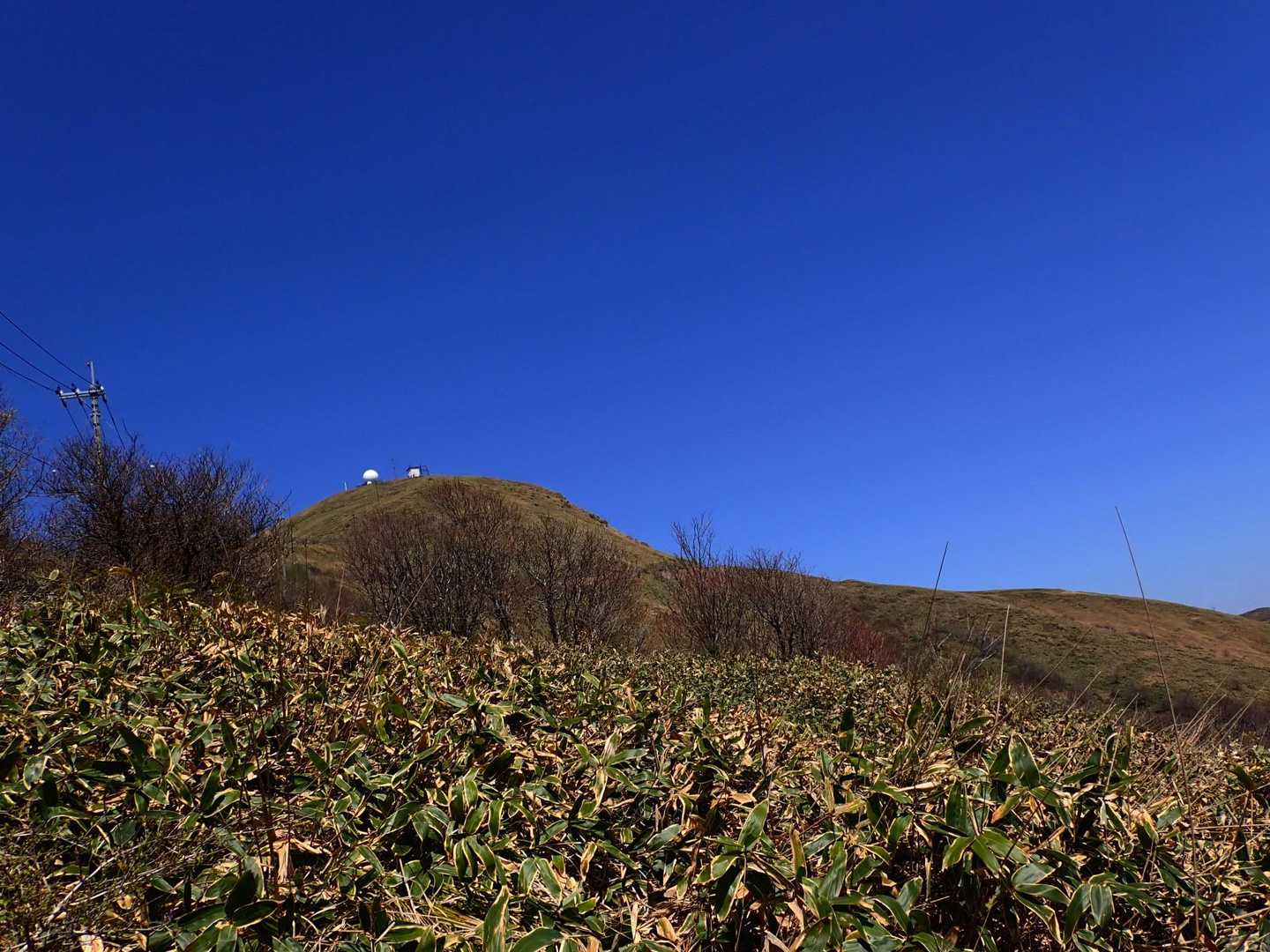 中津山 往復コースの写真