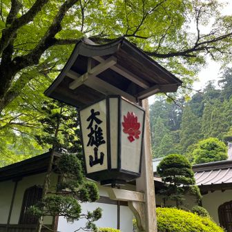 良い雰囲気。