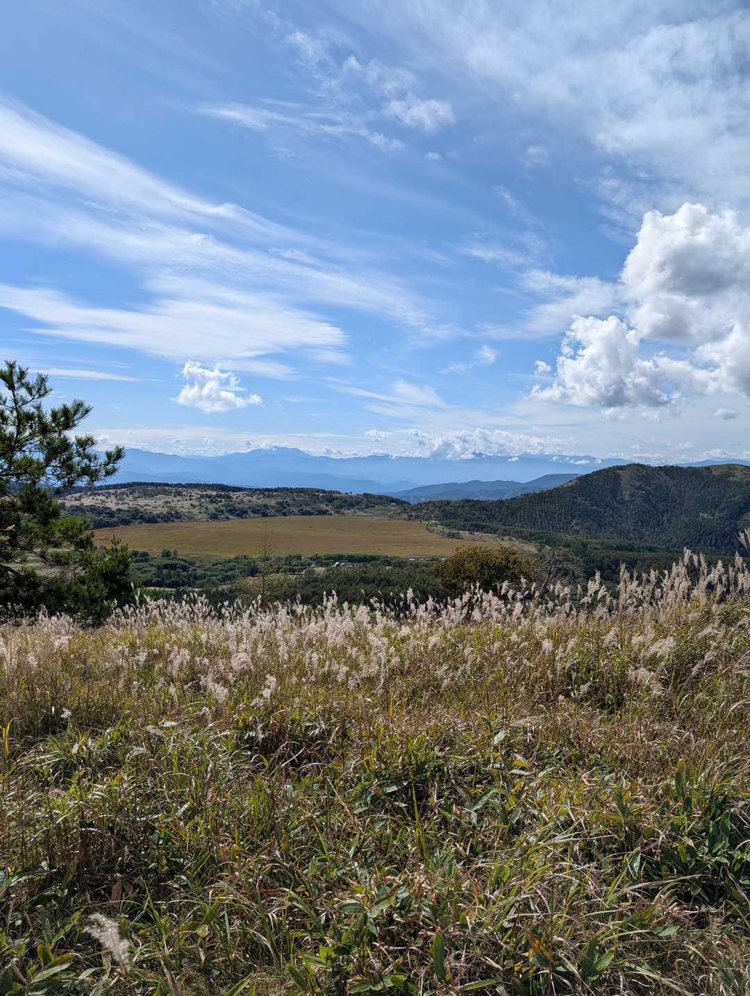 八島湿原バス停-八島湿原入口-霧ヶ峰湿原植物群落-男女倉山 周回コースの写真