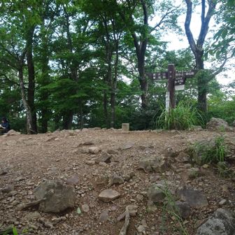 岩茸石山山頂