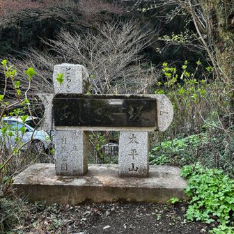 アジサイが咲いたら
また来よっと(≧∇≦)