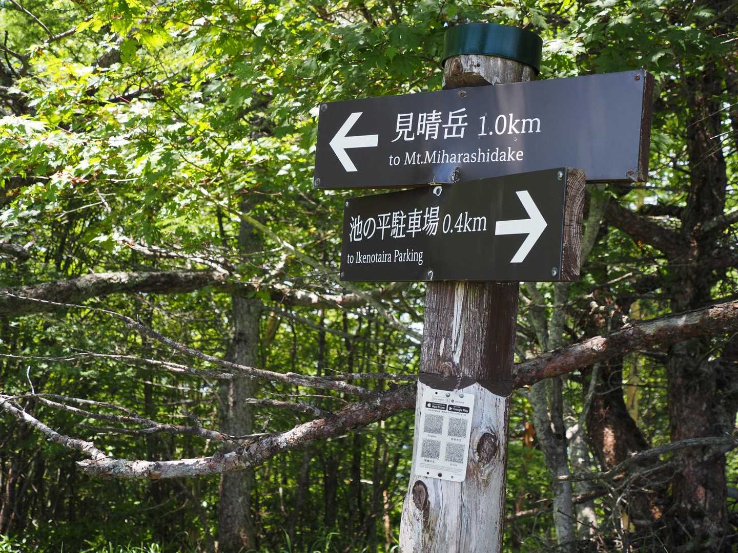まずは見晴岳を目指す✧︎*。