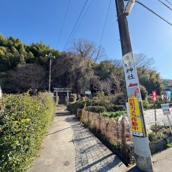 腰神神社⛩️戻ってきた