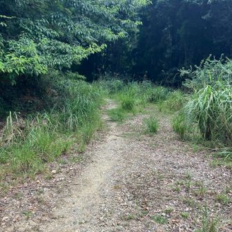 作業道へ