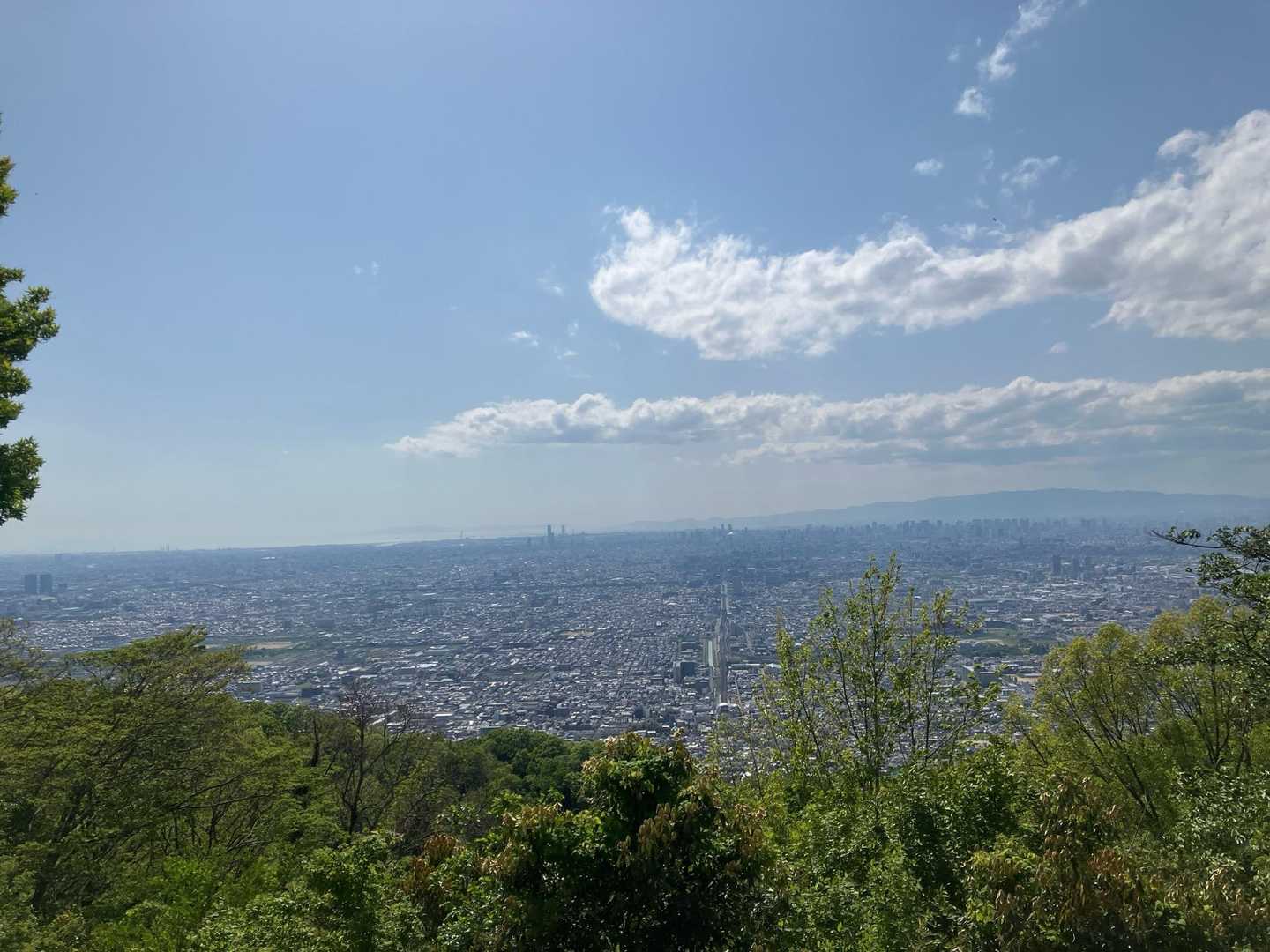 鳴川峠-大原山-客坊大橋登山口 周回コースの写真