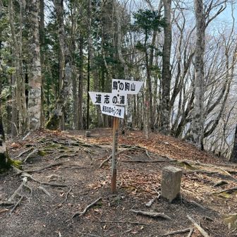 標識はあっても山頂標識がなーい