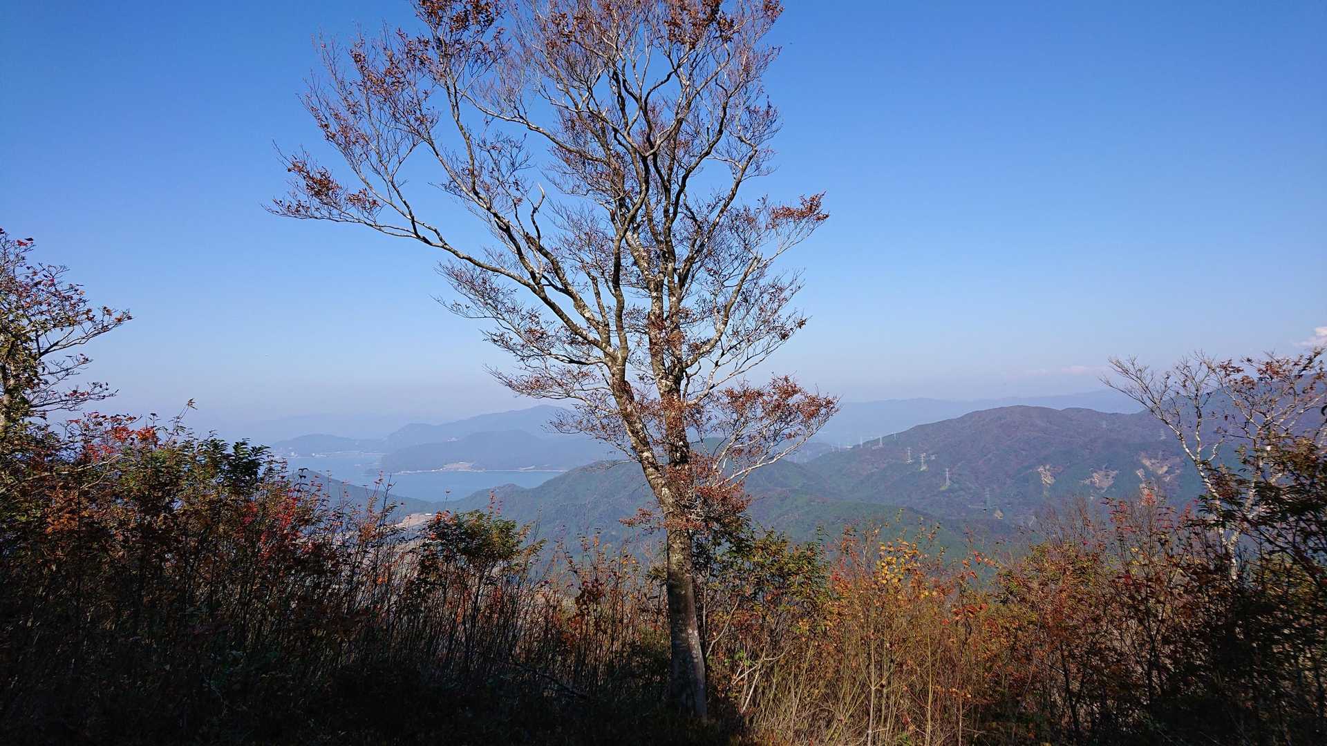 雲谷山 往復コースの写真