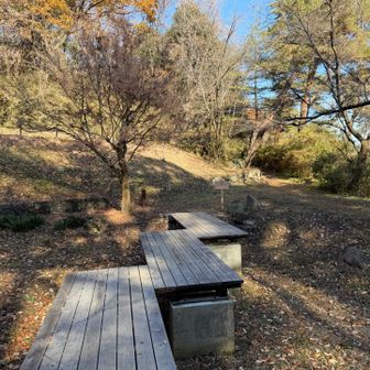 池とはいうが水なし

たぬきに化かされた⁉︎