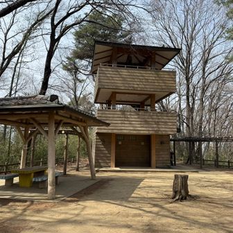 山頂展望台。ここも登っても展望無し。