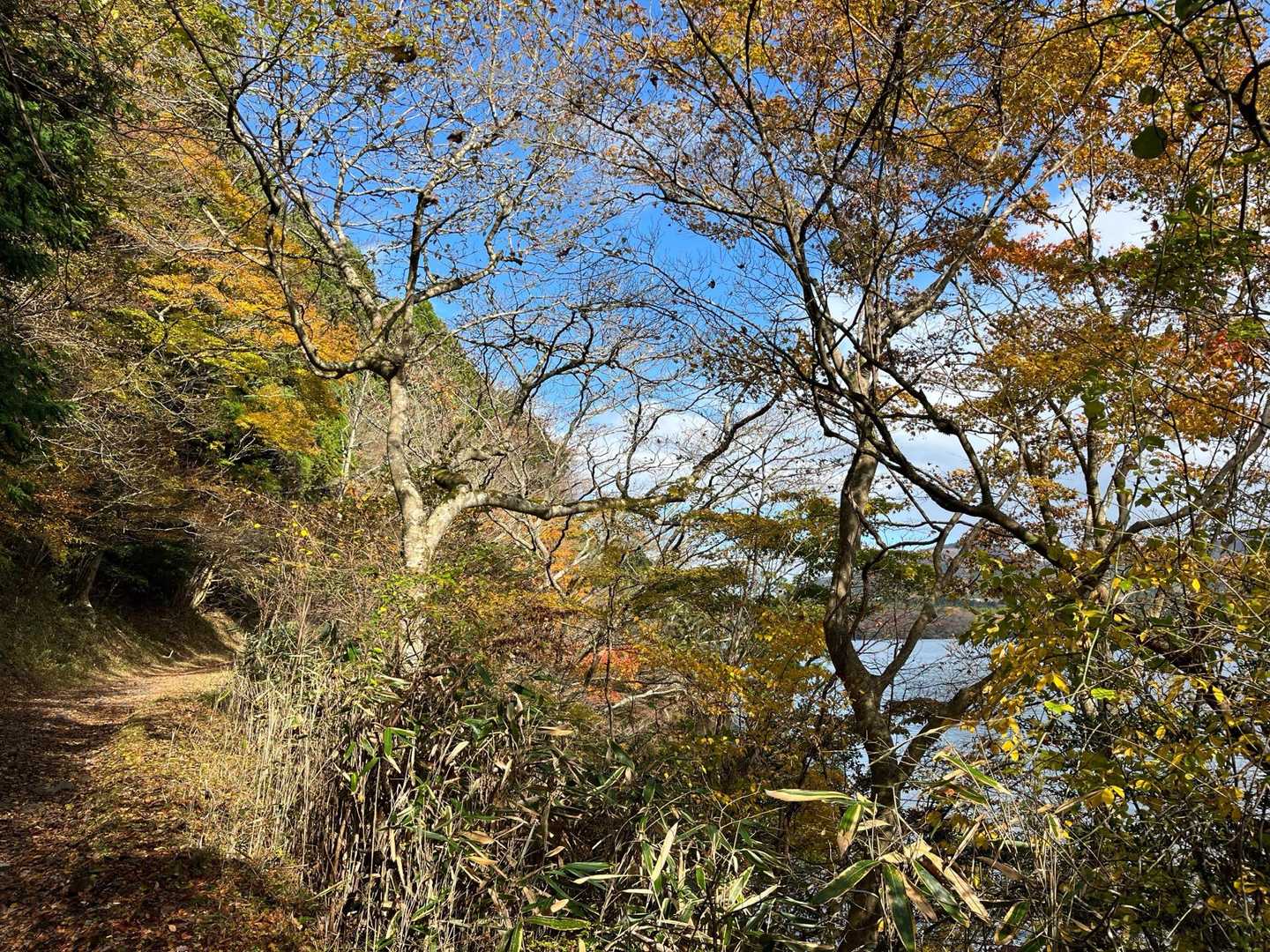 下山して来たらお天気良くなって気持ちが良いです✨