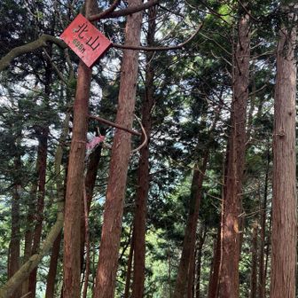 北山山頂