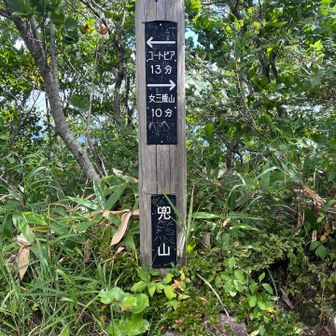 兜山山頂。樹林の中でした