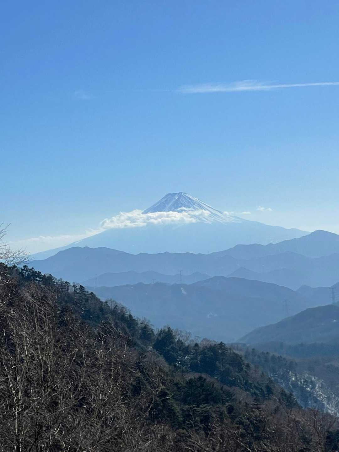 今年はチャレンジせねば…。バッチリ見える。