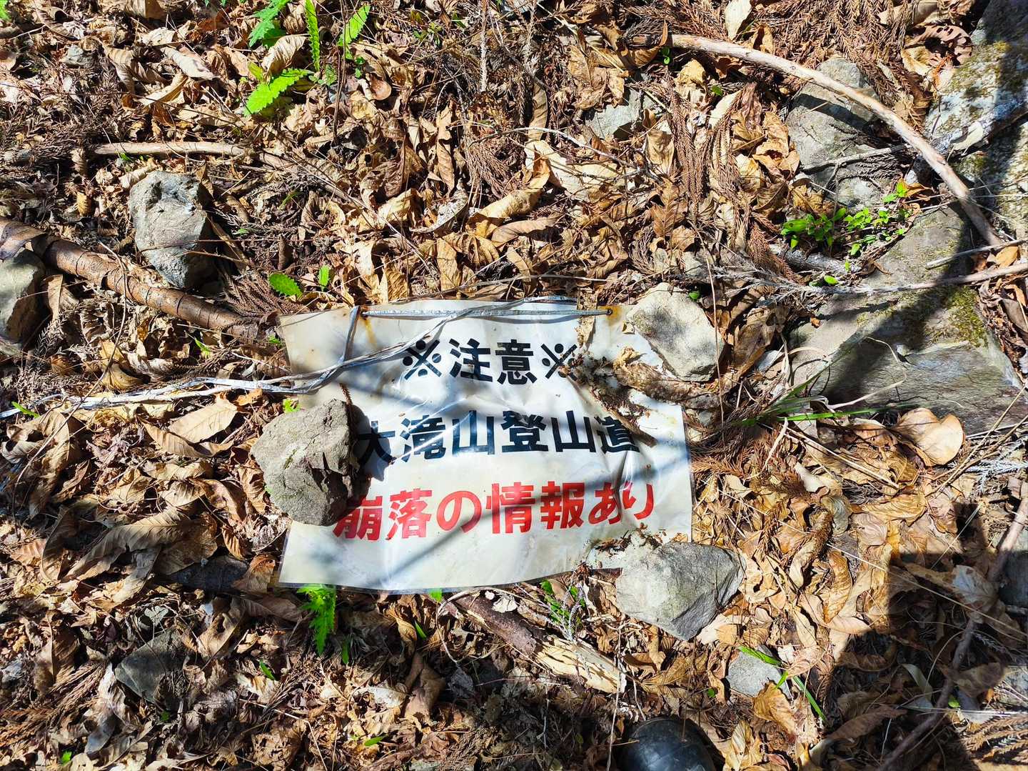 聞いてないよー(笑)