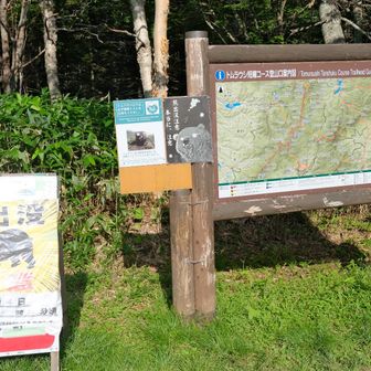 とても良い山歩きできました。