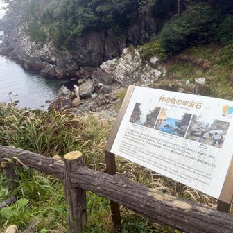 3.11の津波で運ばれてきた岩