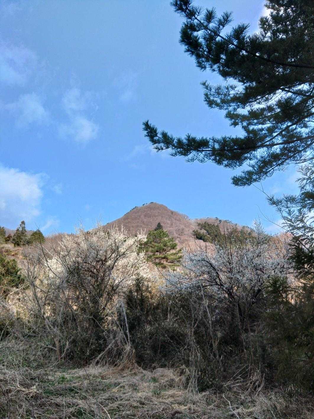 出だしは、快晴☀️