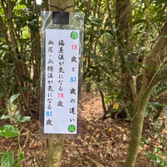 81歳になったら共感するのかな🤣