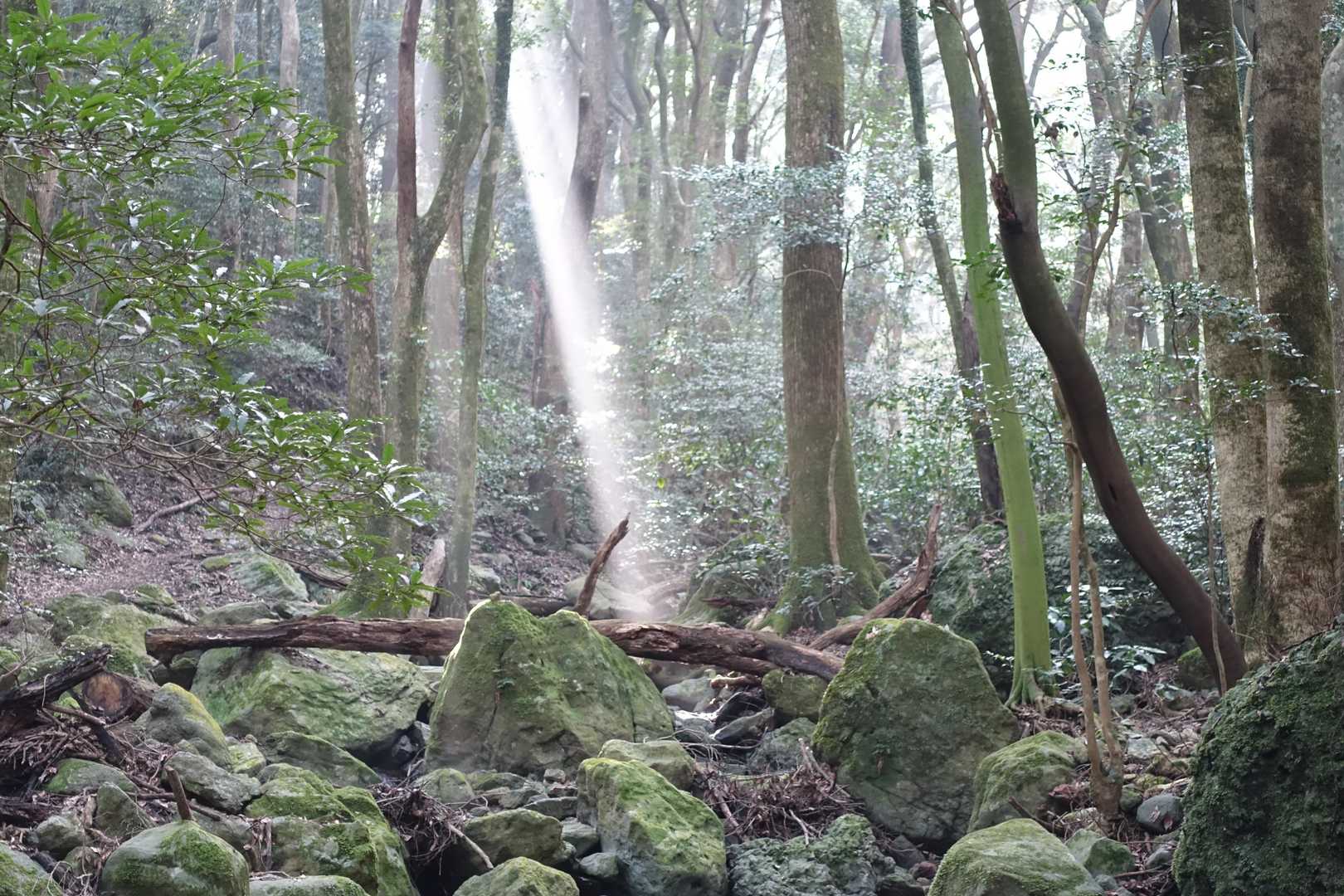 最強低山の呼び声高い、スリル満点の黒髪山定番コースの写真