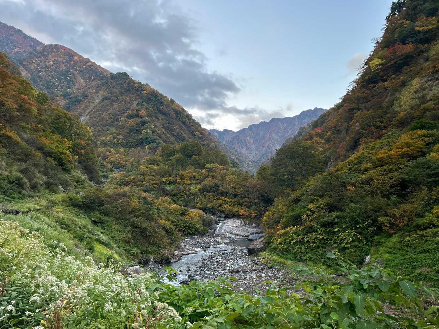 明るくなってきました。

十二平登山口まで徒歩約50分です。