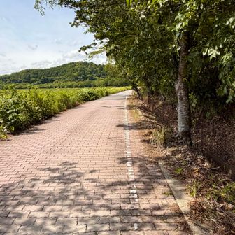 荒神山公園第4駐車場🅿️を出発

車道を歩いて、登山口に向かう