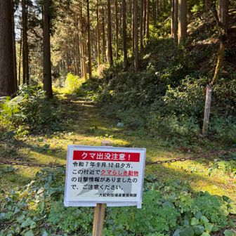 🐻🐻
気を抜いた
熊鈴忘れました