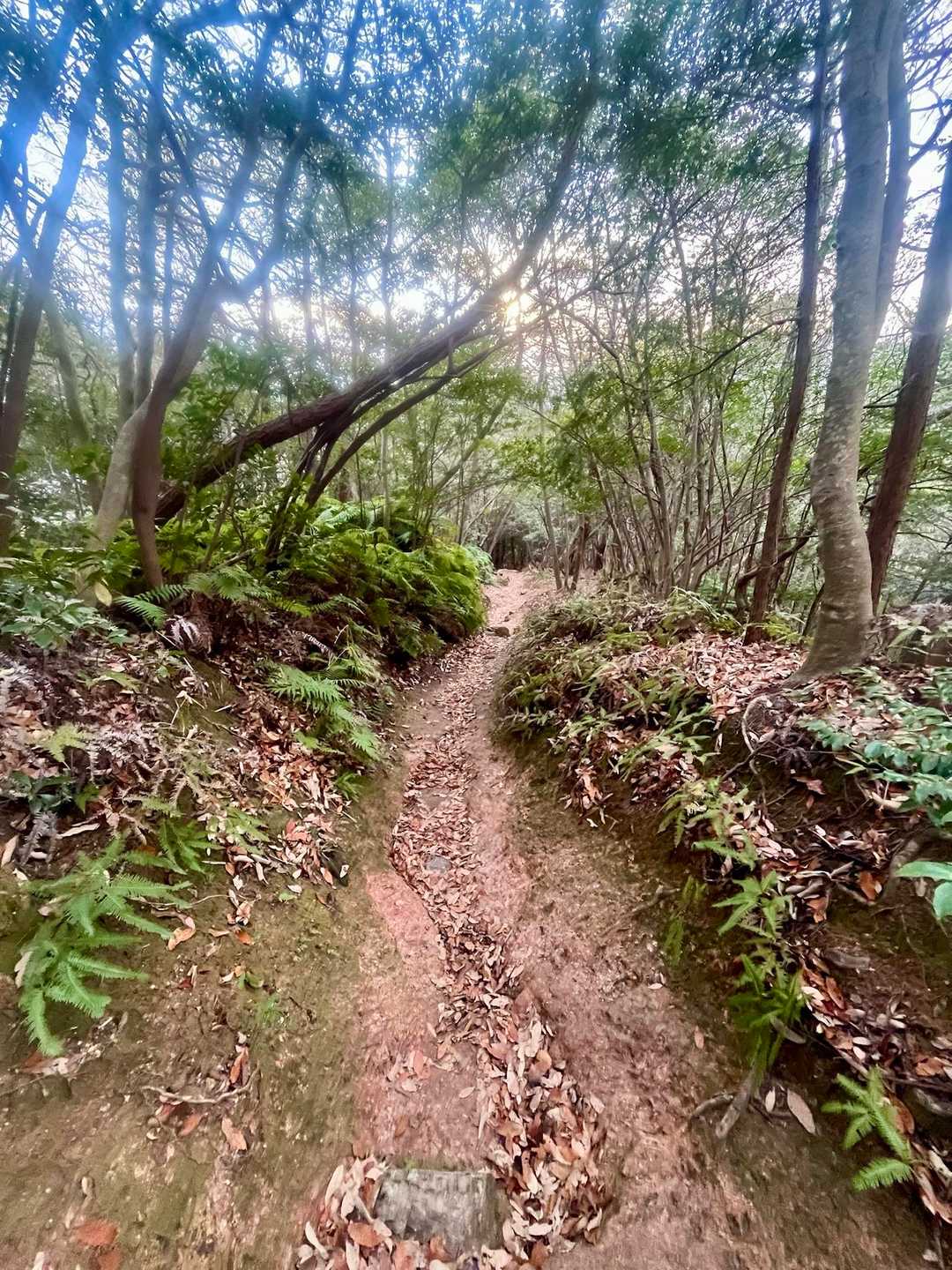 暗くなって来た〜
　　　　早く下山しないと〜😅💦