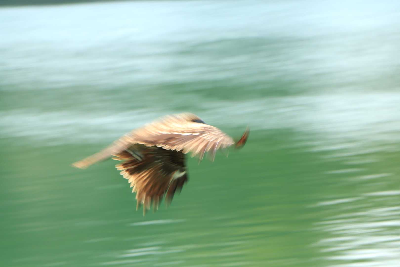 疾走感（飛んでるけど