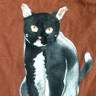 🔰 ｍｏｃｈａ