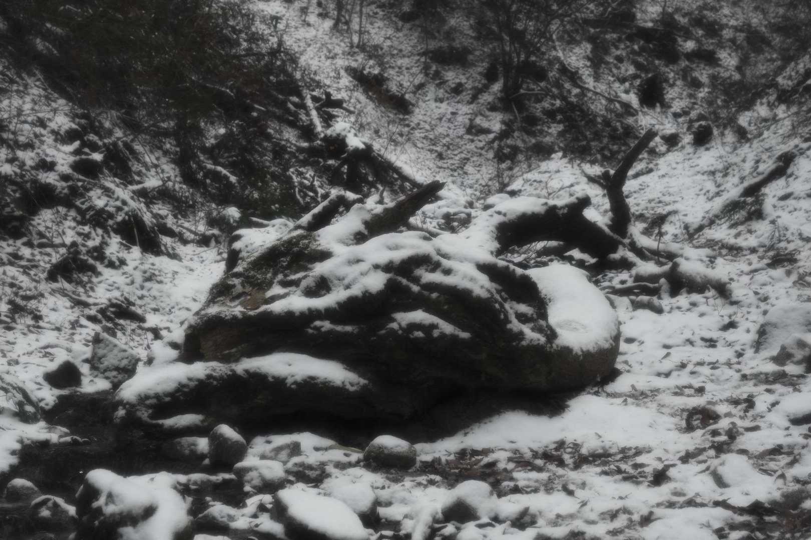 水越峠-金剛山 往復コースの写真