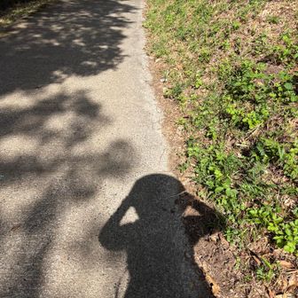 自分撮ってみた。もう陽が高いからあまり意味無し