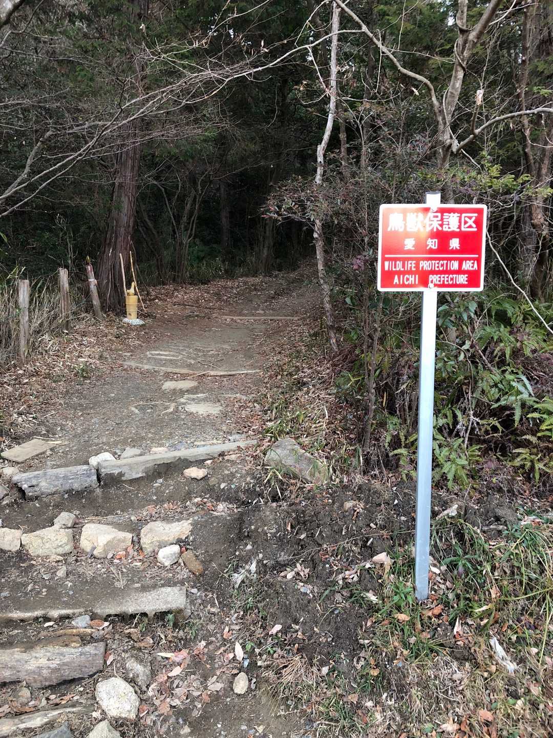いよいよ参道に