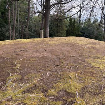 王山の頂上に到着(*^▽^*)
うーん、流石に三角点とかはないかー