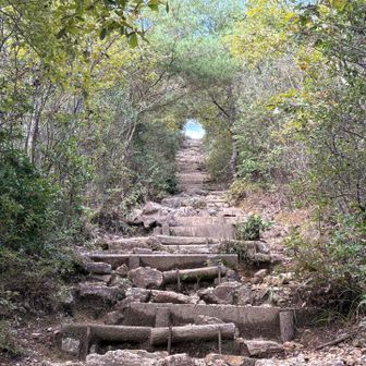 多度神社の参道を下から。