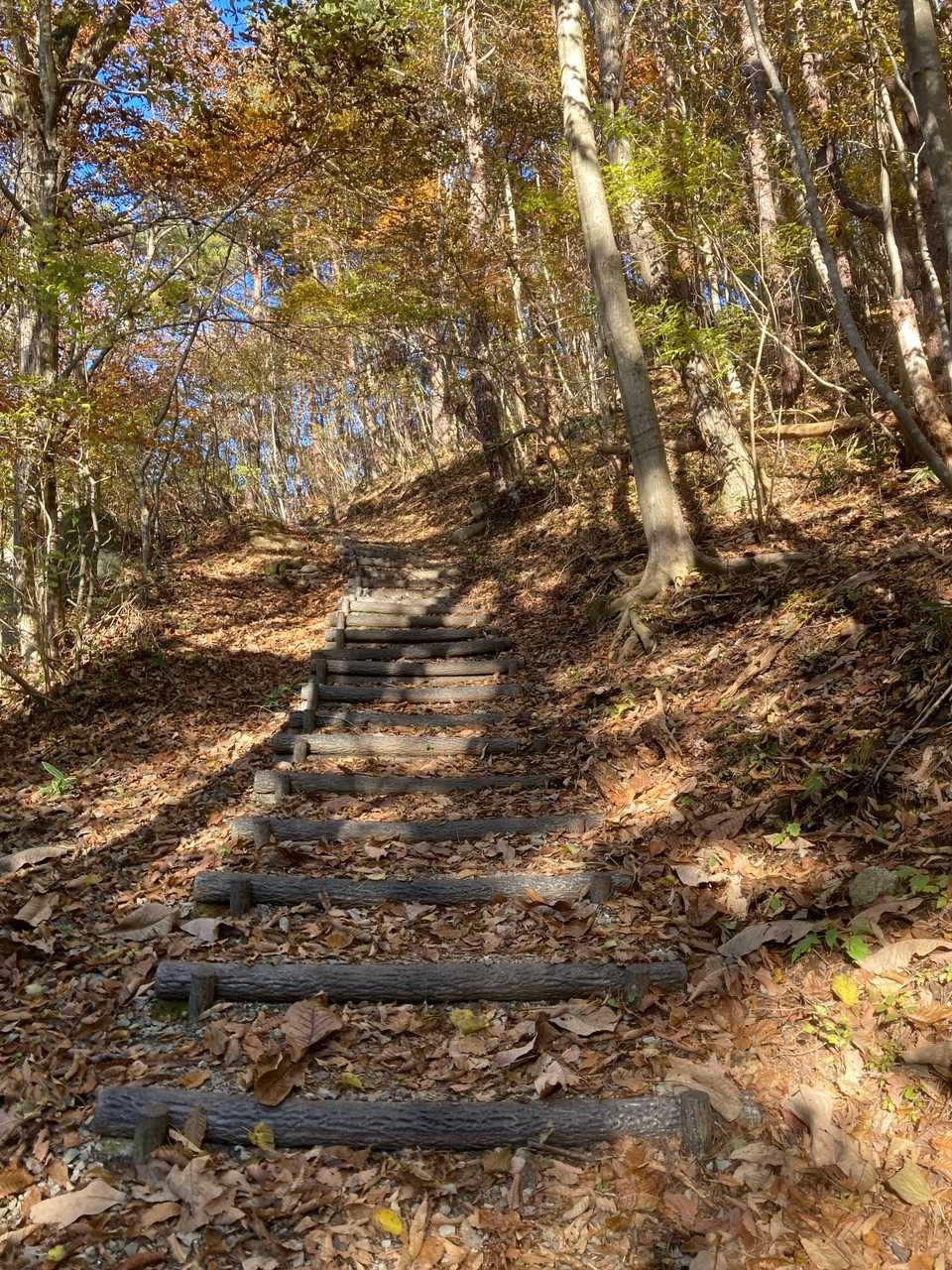🍂