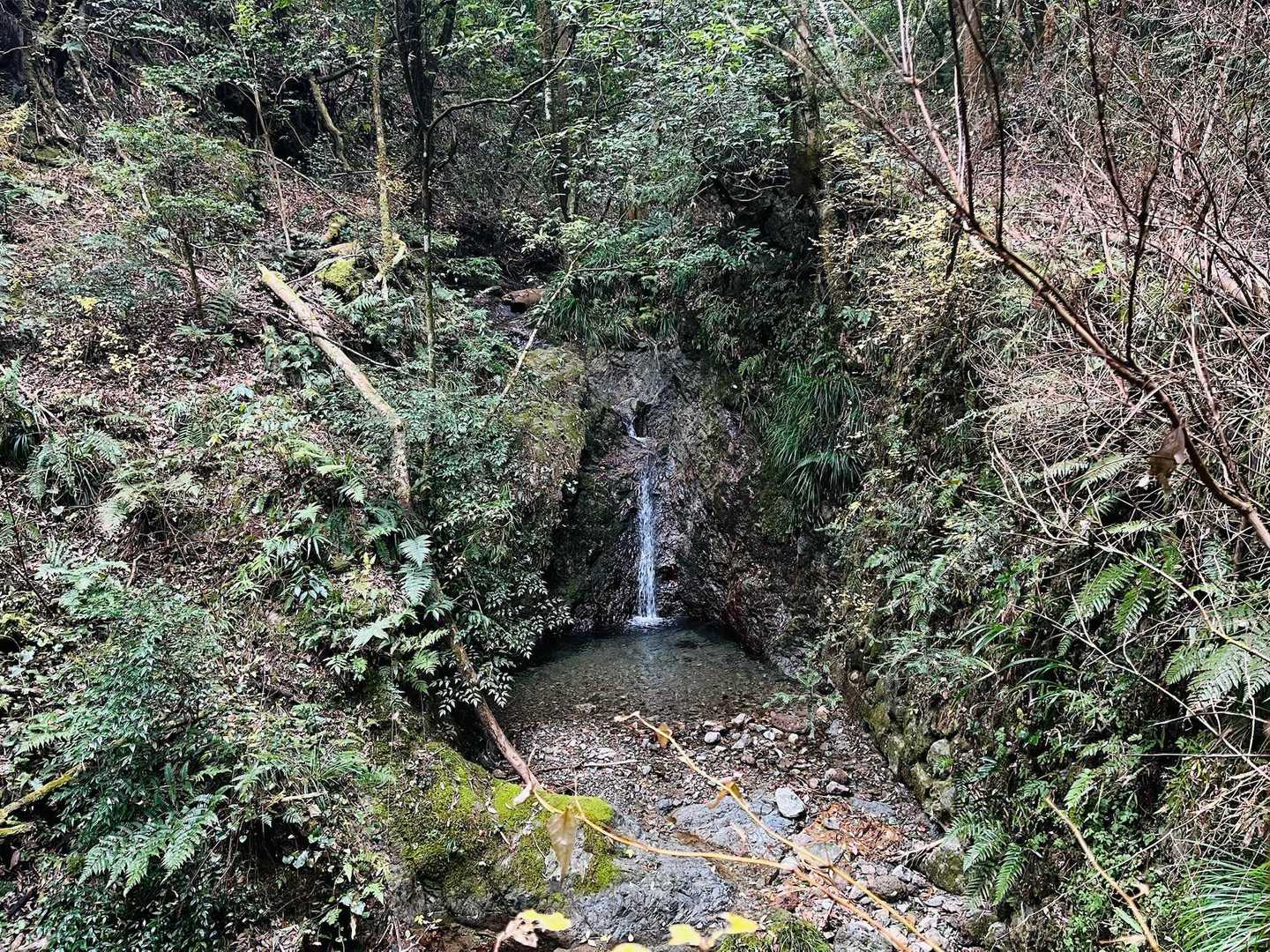猿子城山-ボテ峠-施福寺-槇尾山バス停 周回コースの写真