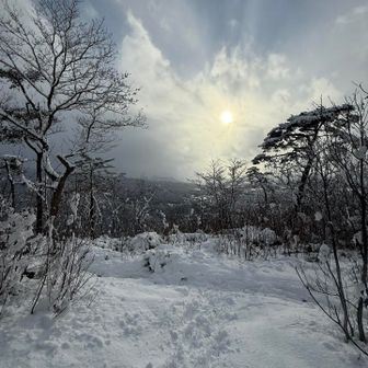 来なきゃ分からん😆
